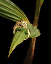 Panther Black-Adjustable